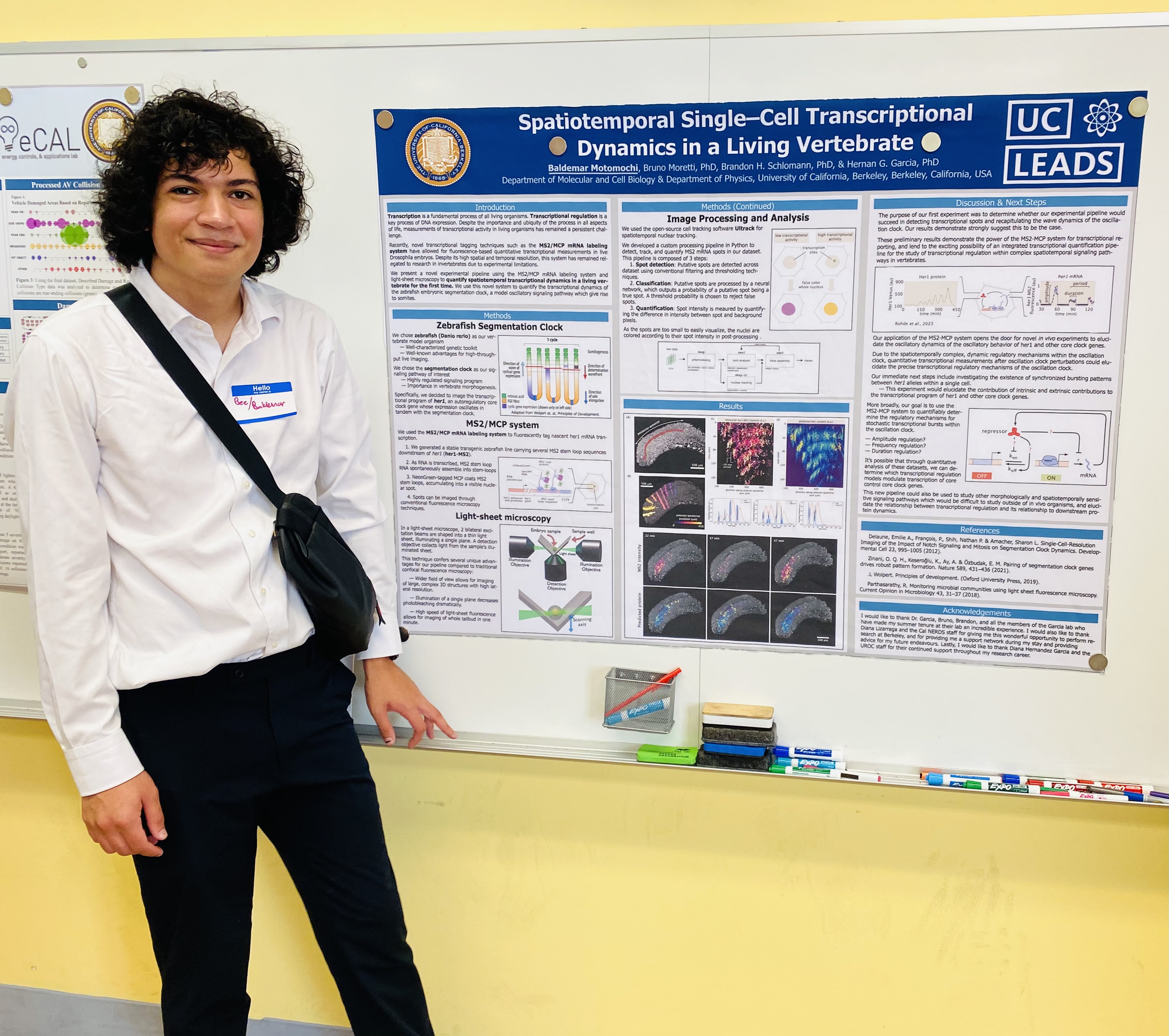 2024 Visiting Scholar, Bee, at UC Berkeley's Summer Poster Showcase